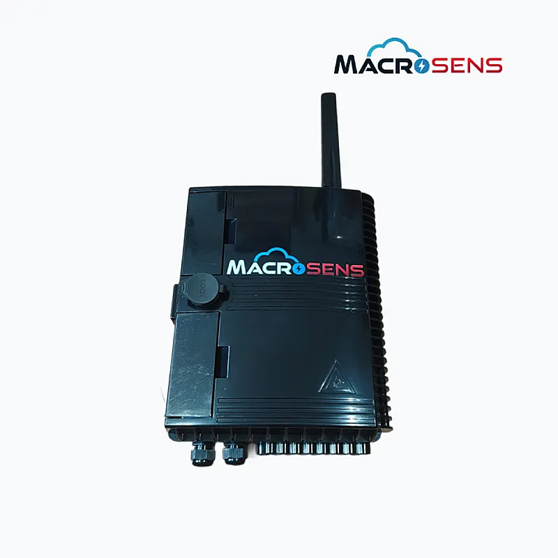 MS Brain Gateway